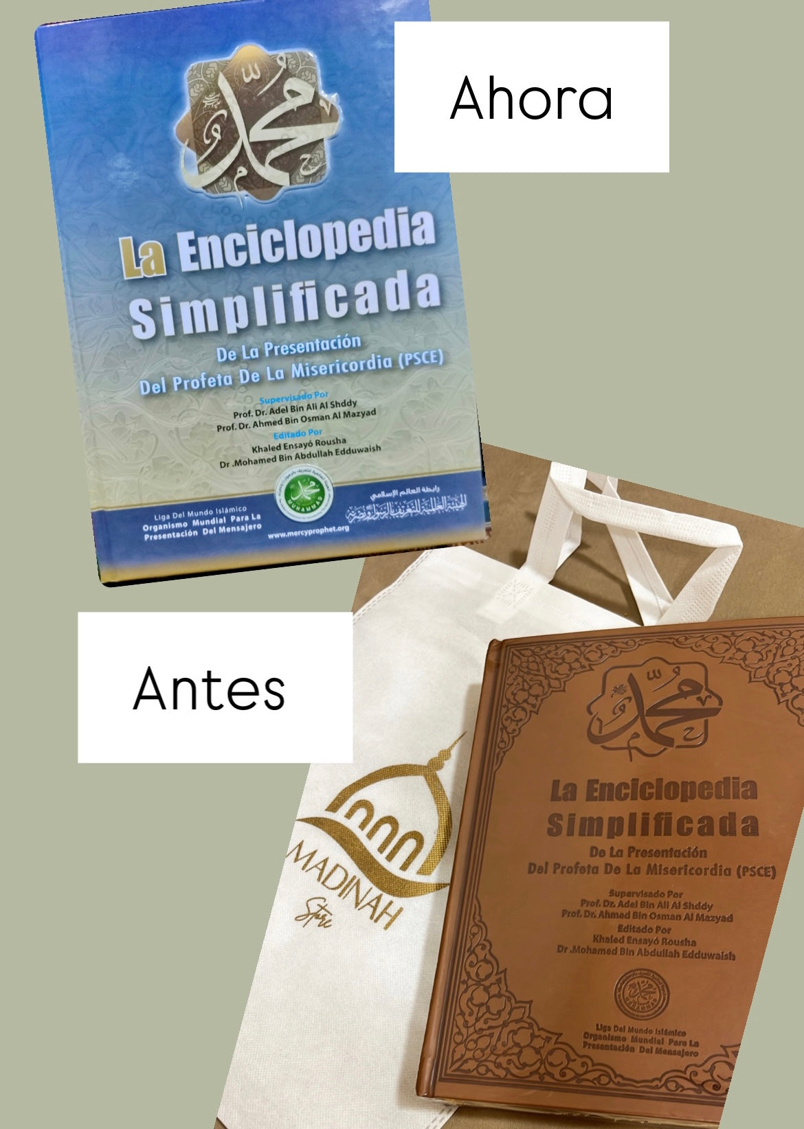 La enciclopedia simplificada de la presentación del Profeta de la misericordia ﷺ